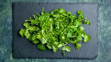 garnishing-instructions-image